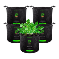 Vivosun 5-pack 15-gallon fabric grow bags with potato plants.