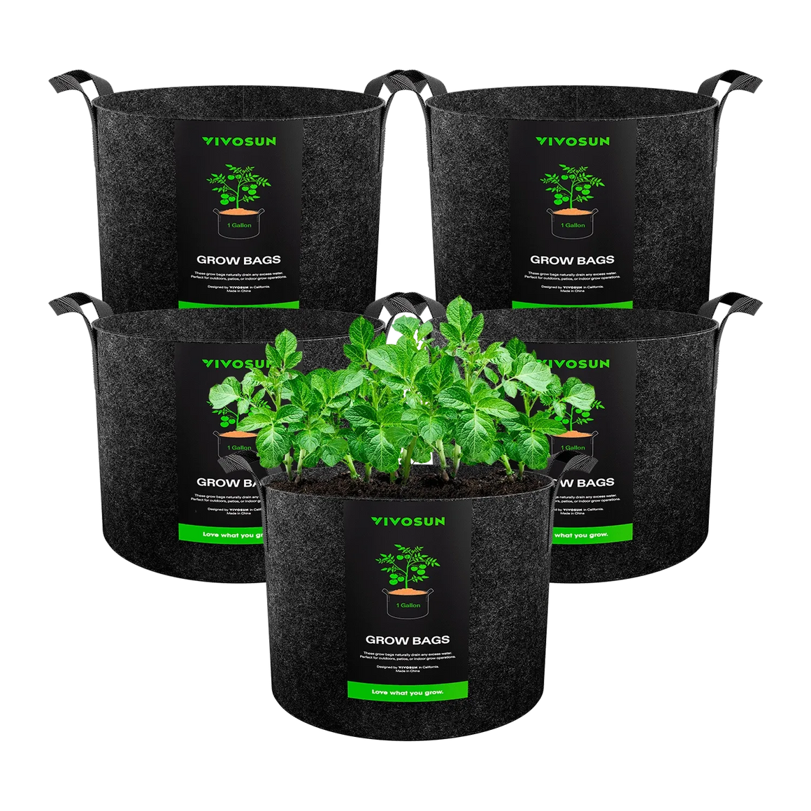 VIVOSUN 5-pack 1-gallon fabric grow bags, one filled with potato plants.