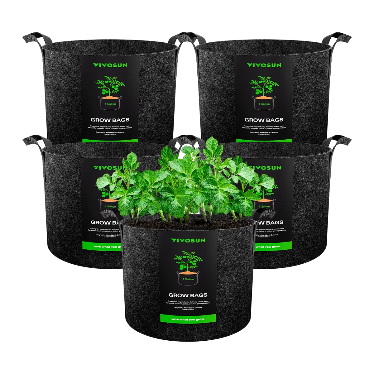 VIVOSUN 5-pack 1-gallon fabric grow bags, one filled with potato plants.