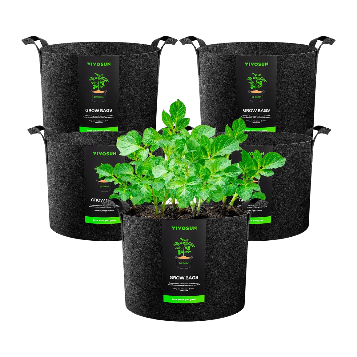 Vivosun 5-pack 20-gallon fabric grow bags, featuring a thriving plant with green leaves.