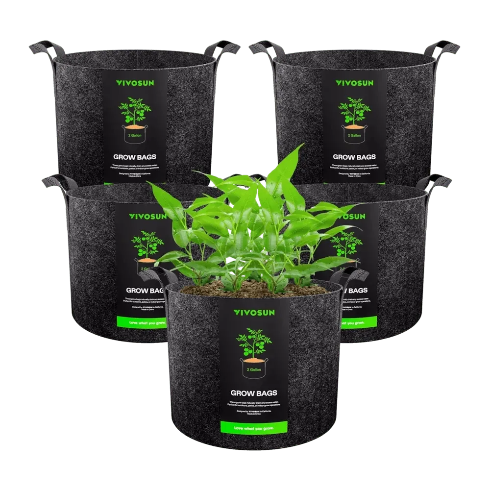 Vivosun 5-pack, 2-gallon fabric grow bags, one filled with a lush green plant.