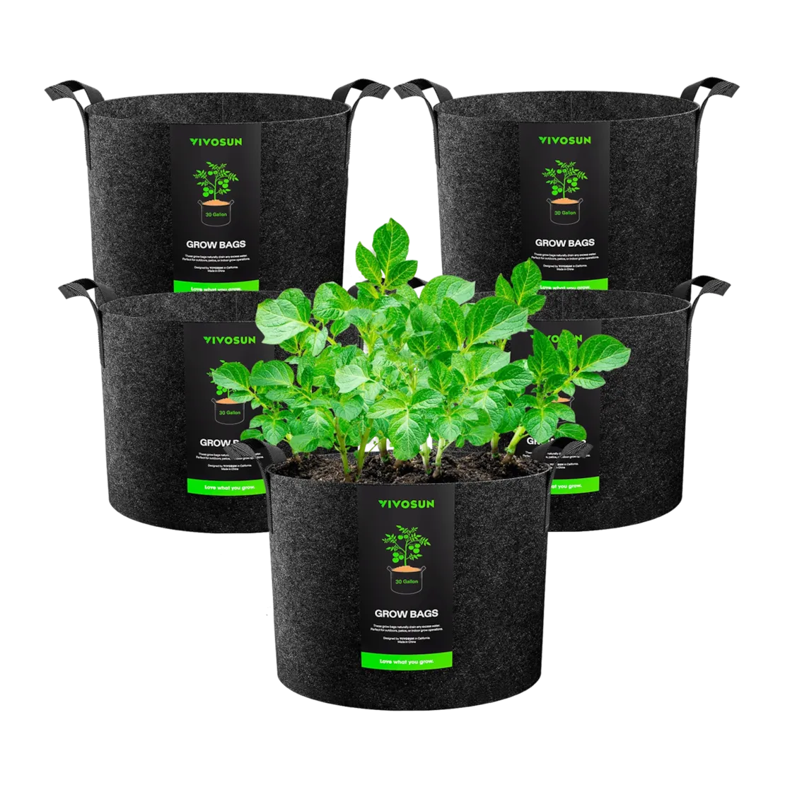 Vivosun 5-pack 30-gallon gray felt grow bags with potato plants.