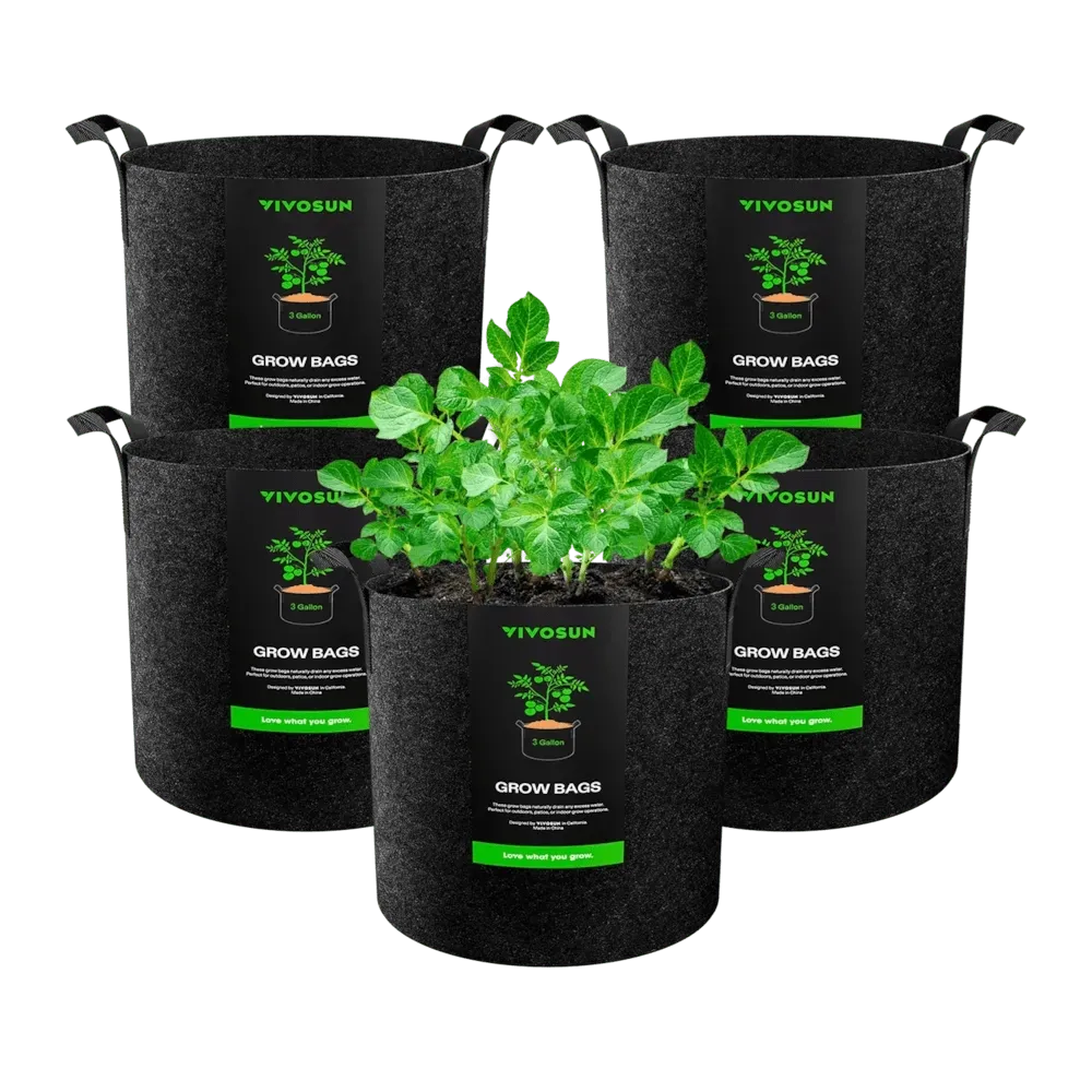 Vivosun 5-pack 3-gallon felt grow bags with young potato plants.