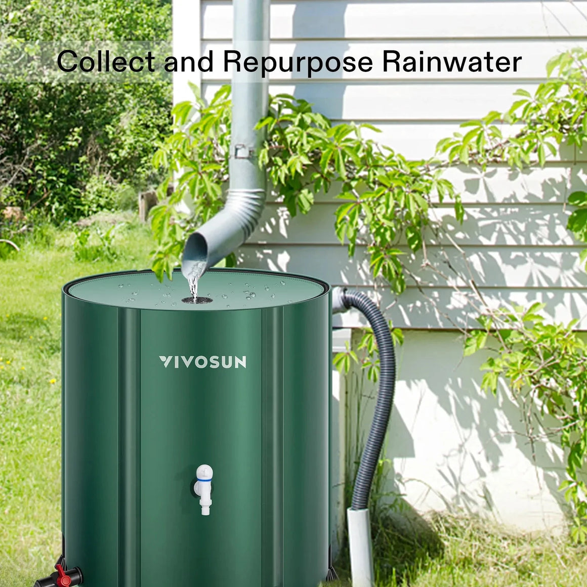 Green Vivosun 53-gallon collapsible rain barrel collects rainwater from a downspout next to a house.
