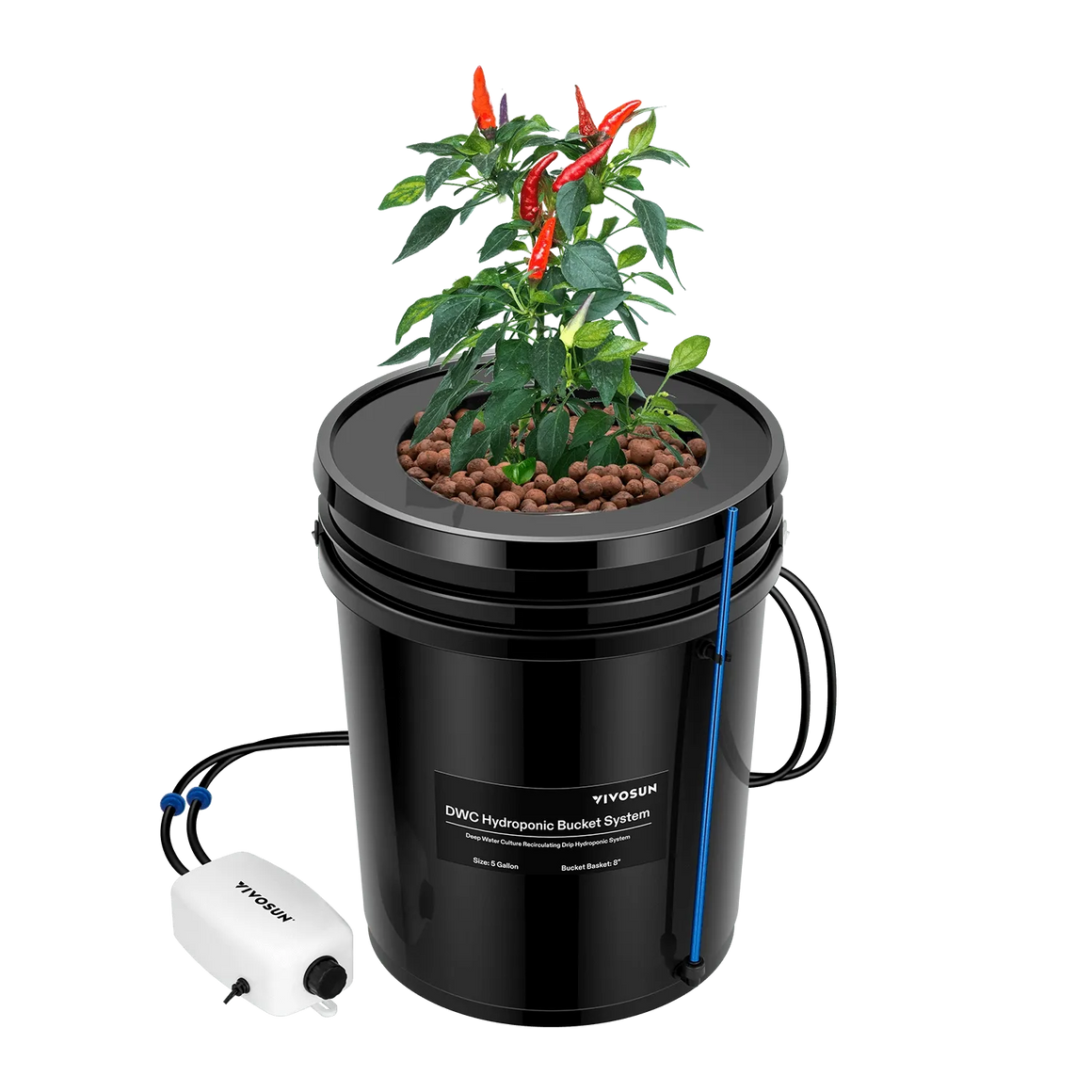 VIVOSUN 5-gallon DWC hydroponic system with chili plant and air pump.