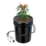 VIVOSUN 5-gallon DWC hydroponic system with chili plant and air pump.