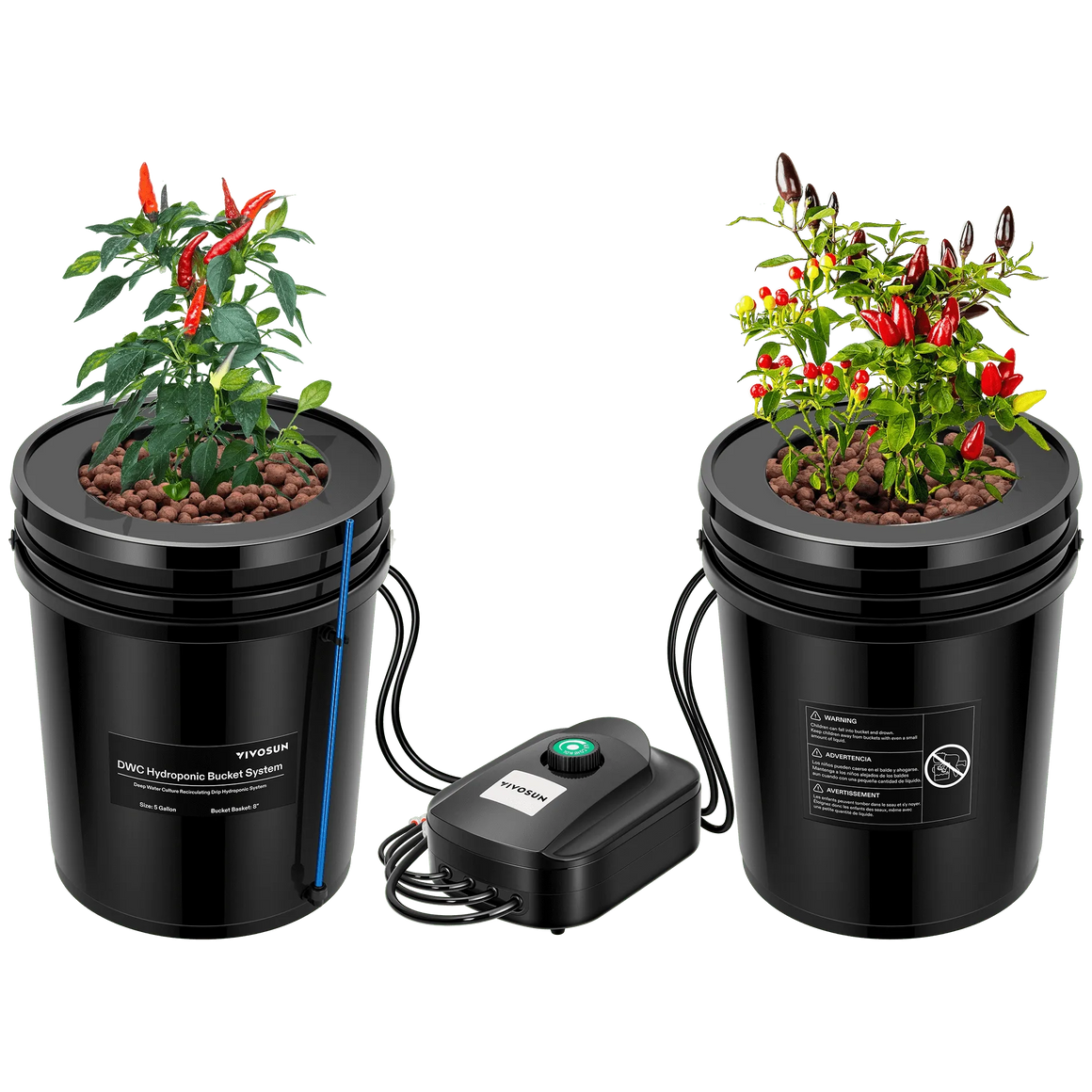Two black 5-gallon VIVOSUN DWC hydroponic buckets with chili plants, connected to an air pump.
