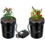 Two black 5-gallon VIVOSUN DWC hydroponic buckets with chili plants, connected to an air pump.