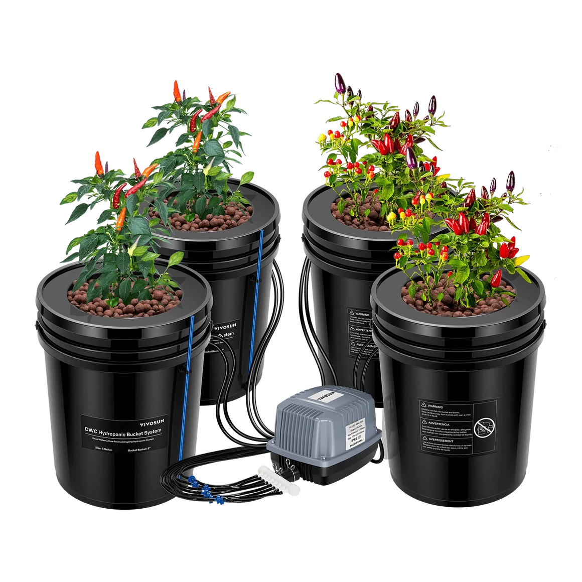 VIVOSUN 4-bucket DWC hydroponic system with chili plants and air pump.