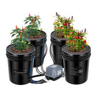 VIVOSUN 4-bucket DWC hydroponic system with chili plants and air pump.