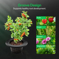 Vivosun 5 Gallon DWC hydroponic kit for growing fruits, crops, flowers, and vegetables with a cherry tomato plant.