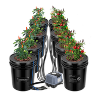 Vivosun 5-gallon DWC hydroponic kit with 8 buckets and pepper plants, air pump included.
