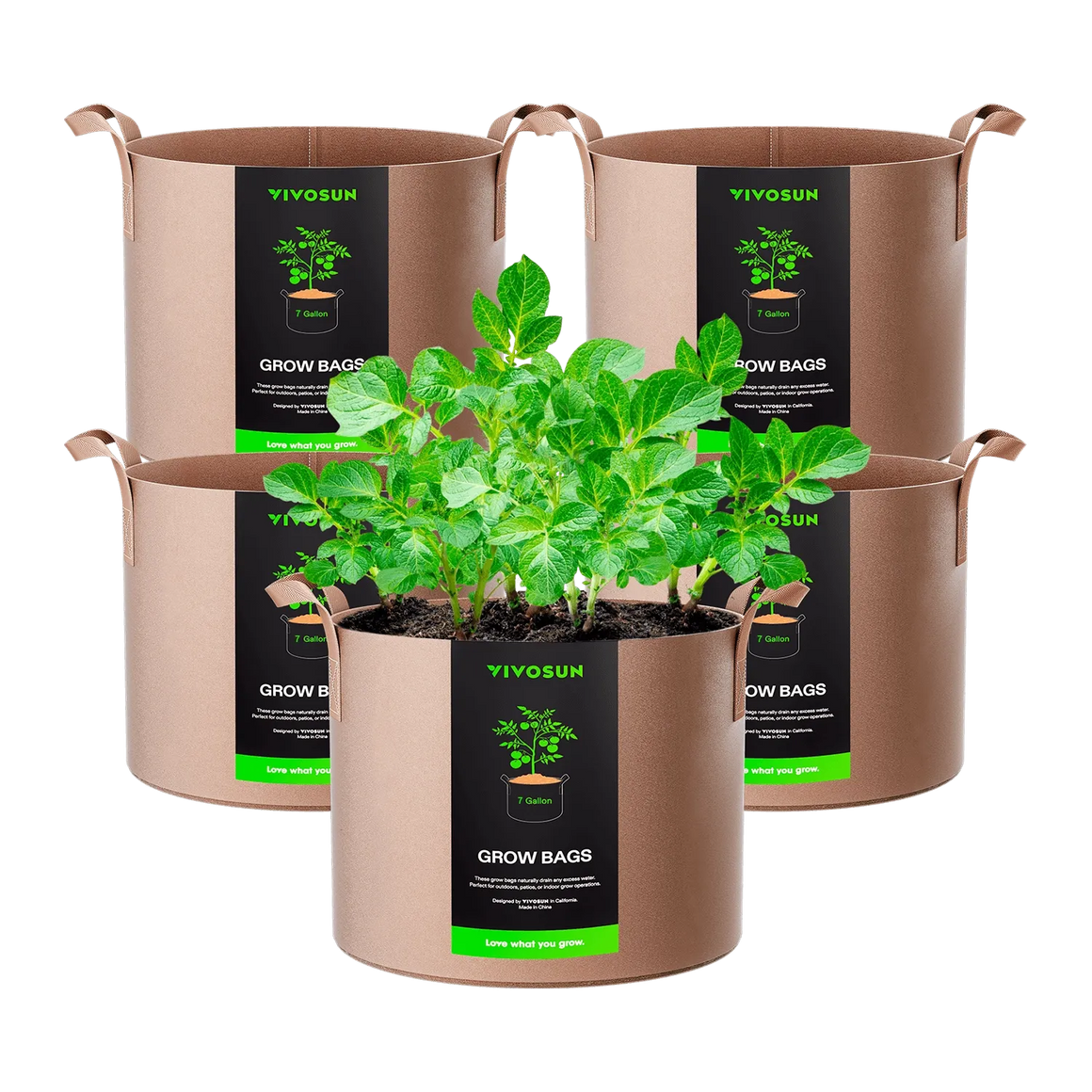 Vivosun 7-gallon grow bags with healthy potato plants.