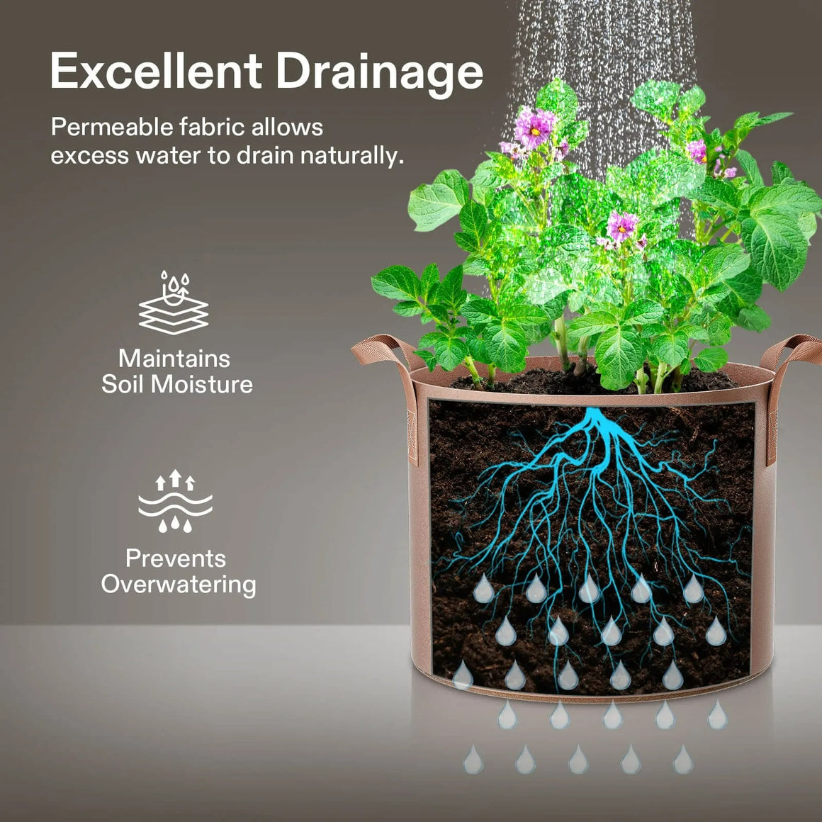 Brown fabric pot with potato plant, shows roots, excellent drainage and prevents overwatering.