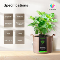 VIVOSUN 7-gallon brown fabric grow bag with plant, specifications, and plant labels.