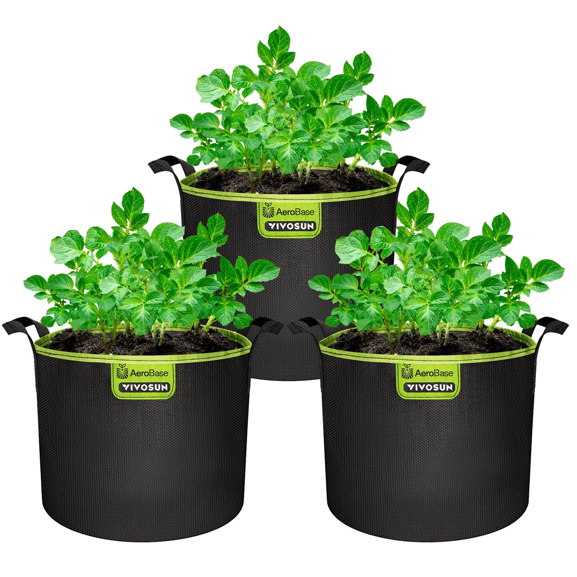 Three black Vivosun AeroBase grow bags with green trim, each filled with soil and young potato plants.
