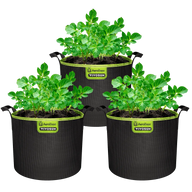 Three black Vivosun AeroBase grow bags with green trim, each filled with soil and young potato plants.