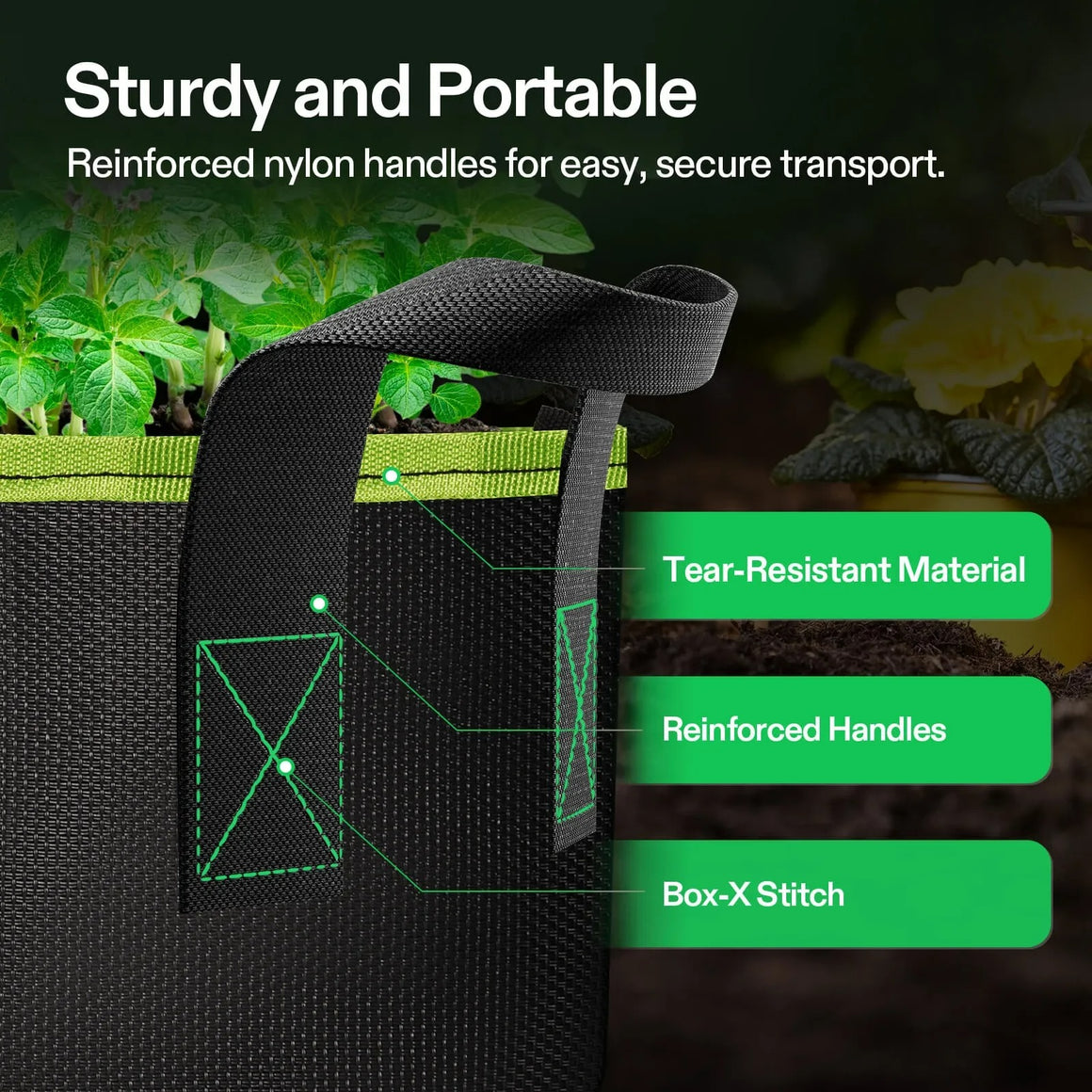 Close-up of a black fabric grow bag with green trim, showing reinforced handles and "Box-X Stitch" labeling.