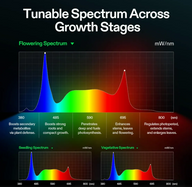 LED grow light spectrums for seedling, vegetative, and flowering stages.