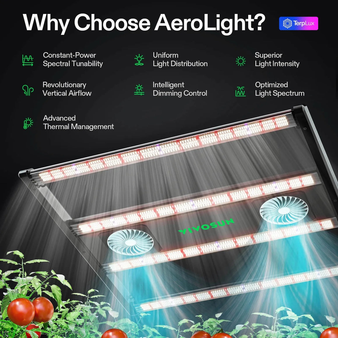 VIVOSUN AeroLight grow light illuminates tomato plants with full spectrum LEDs and vertical airflow, showcasing features like constant-power tunability.