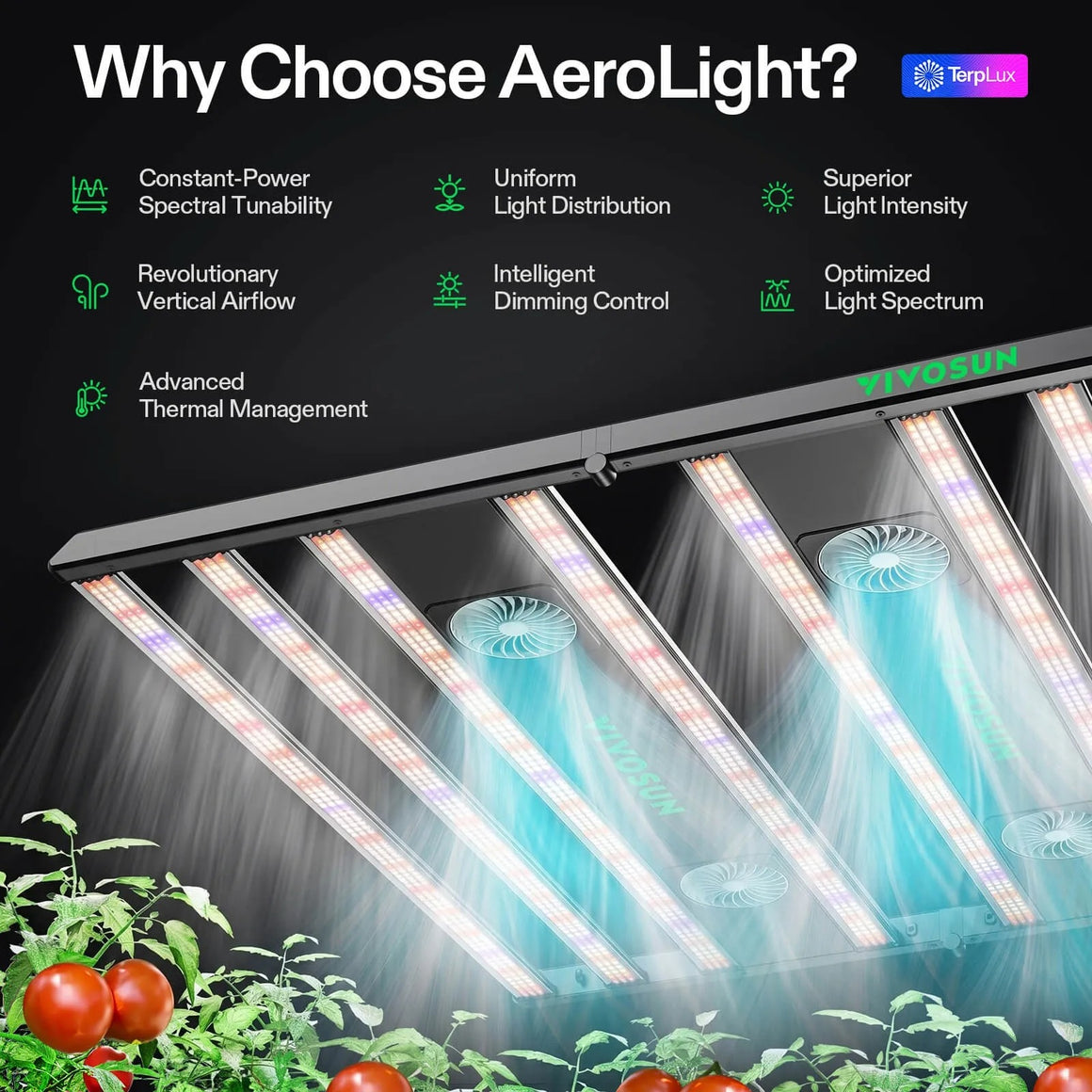 Vivosun AeroLight grow light: uniform light, fans, tomatoes, features.
