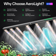 Vivosun AeroLight grow light: uniform light, fans, tomatoes, features.