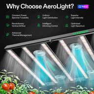 VIVOSUN AeroLight 850W LED grow light with fans illuminates tomato plants.