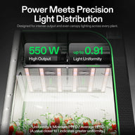 VIVOSUN AeroLight 850W grow light with 550W high output and 0.91 light uniformity, illuminating tomato plants in a grow tent.