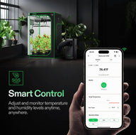 Vivosun AeroLush C08 smart grow tent with fruiting plants, connected AC, and smartphone app for temperature/humidity control.