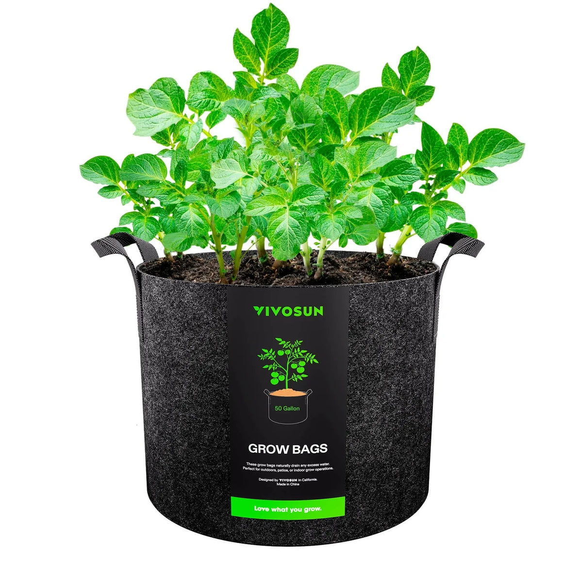 VIVOSUN 50-gallon black felt grow bag with healthy green potato plants.