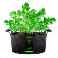 Vivosun black 100-gallon grow bag filled with lush green potato plants.