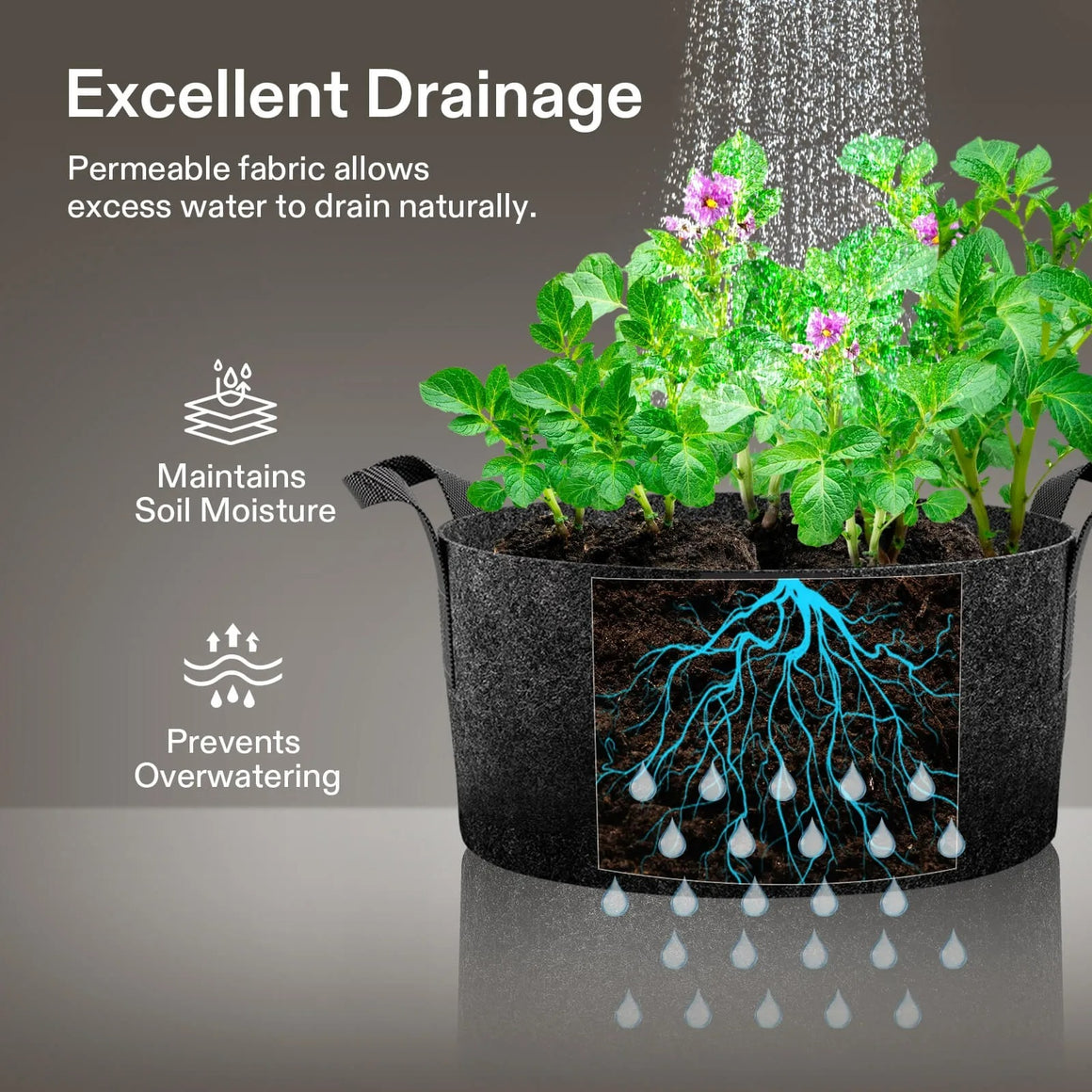 VIVOSUN fabric grow bag with potato plants. Text: "Excellent Drainage." Visuals show watering, maintained soil moisture, and prevented overwatering.