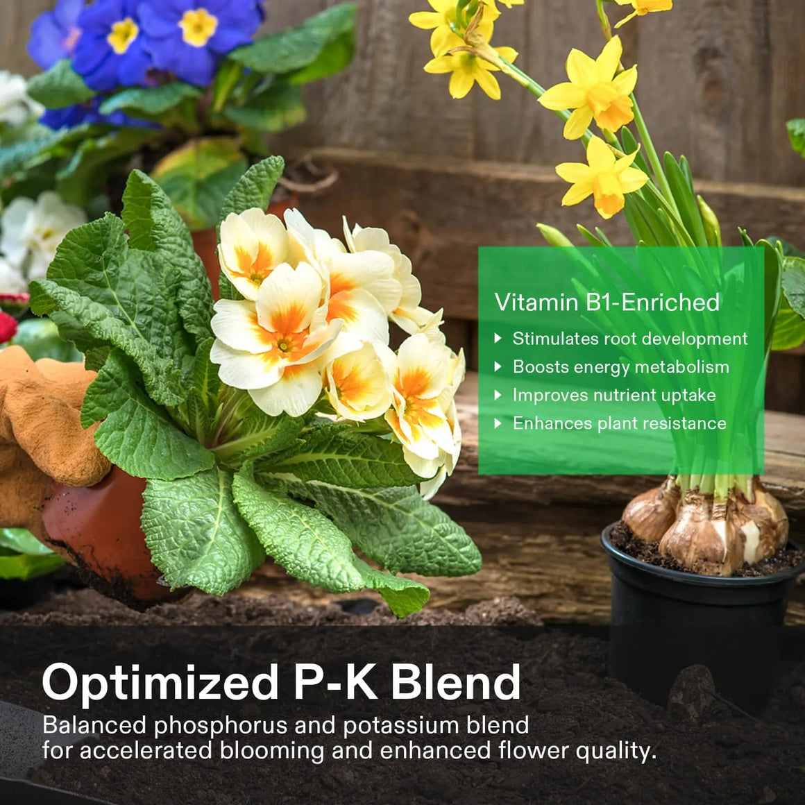 Vivosun Bloom Juice: Vitamin B1-enriched, optimized P-K blend for vibrant flowers.