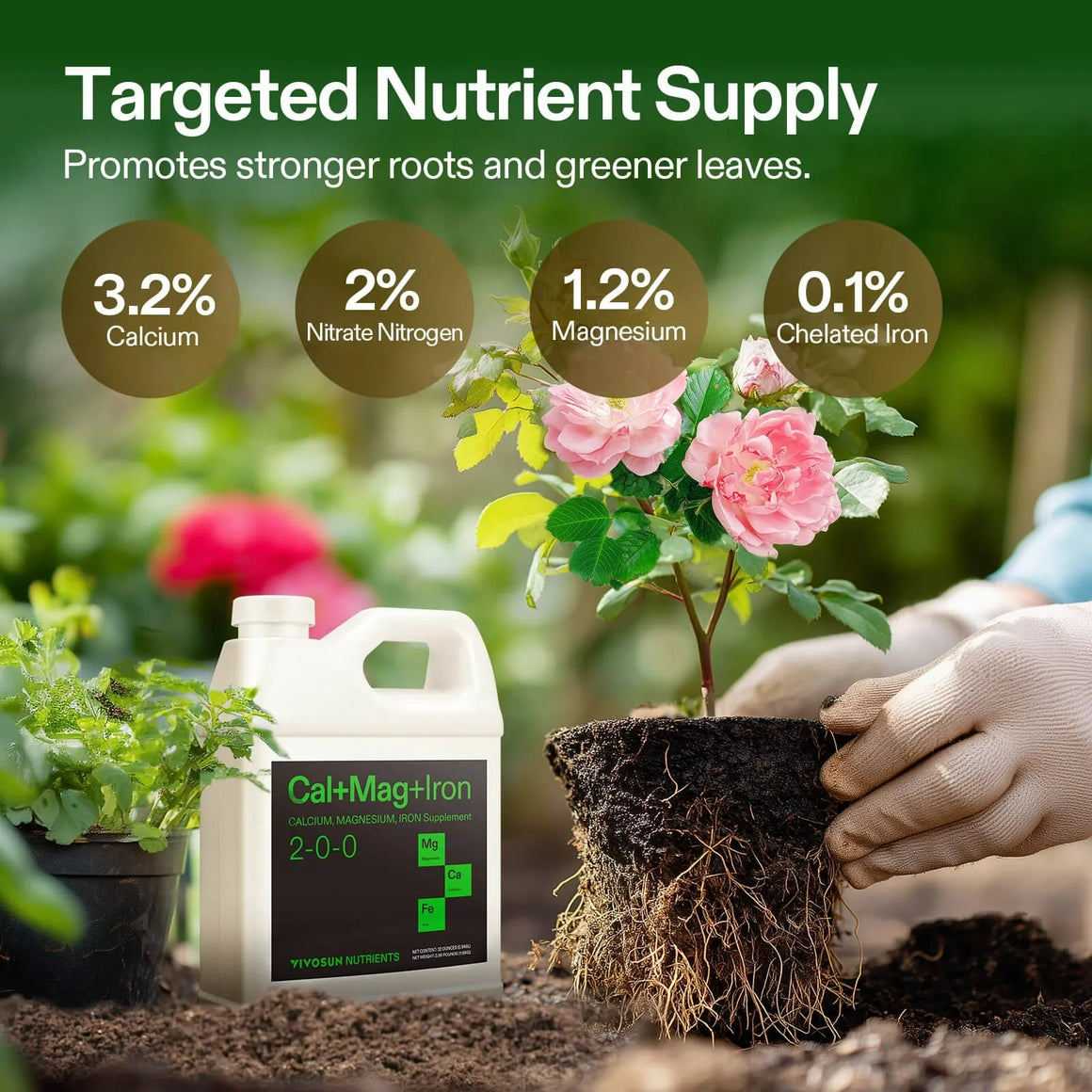 VIVOSUN Cal-Mag+Iron plant nutrient bottle and plant with healthy roots.