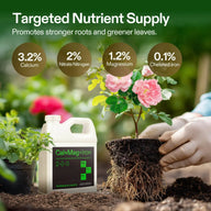 VIVOSUN Cal-Mag+Iron plant nutrient bottle and plant with healthy roots.