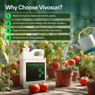 Bottle of Vivosun Cal+Mag+Iron fertilizer being poured onto tomato plants, highlighting growth benefits.