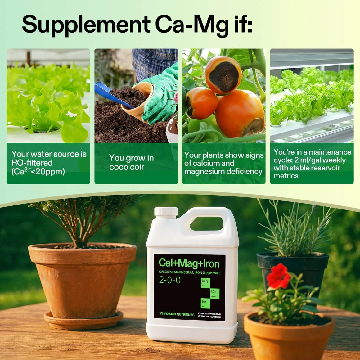 Vivosun Cal+Mag+Iron bottle with plants, featuring hydroponic lettuce, coco coir, and tomatoes showing deficiency.