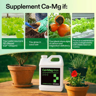 Vivosun Cal+Mag+Iron bottle with plants, featuring hydroponic lettuce, coco coir, and tomatoes showing deficiency.