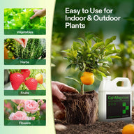 VIVOSUN Cal+Mag+Iron fertilizer for indoor/outdoor plants, shown with vegetables, herbs, fruits, flowers & citrus tree.