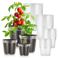 Clear plastic nursery pots with young tomato, basil, and potato plants.
