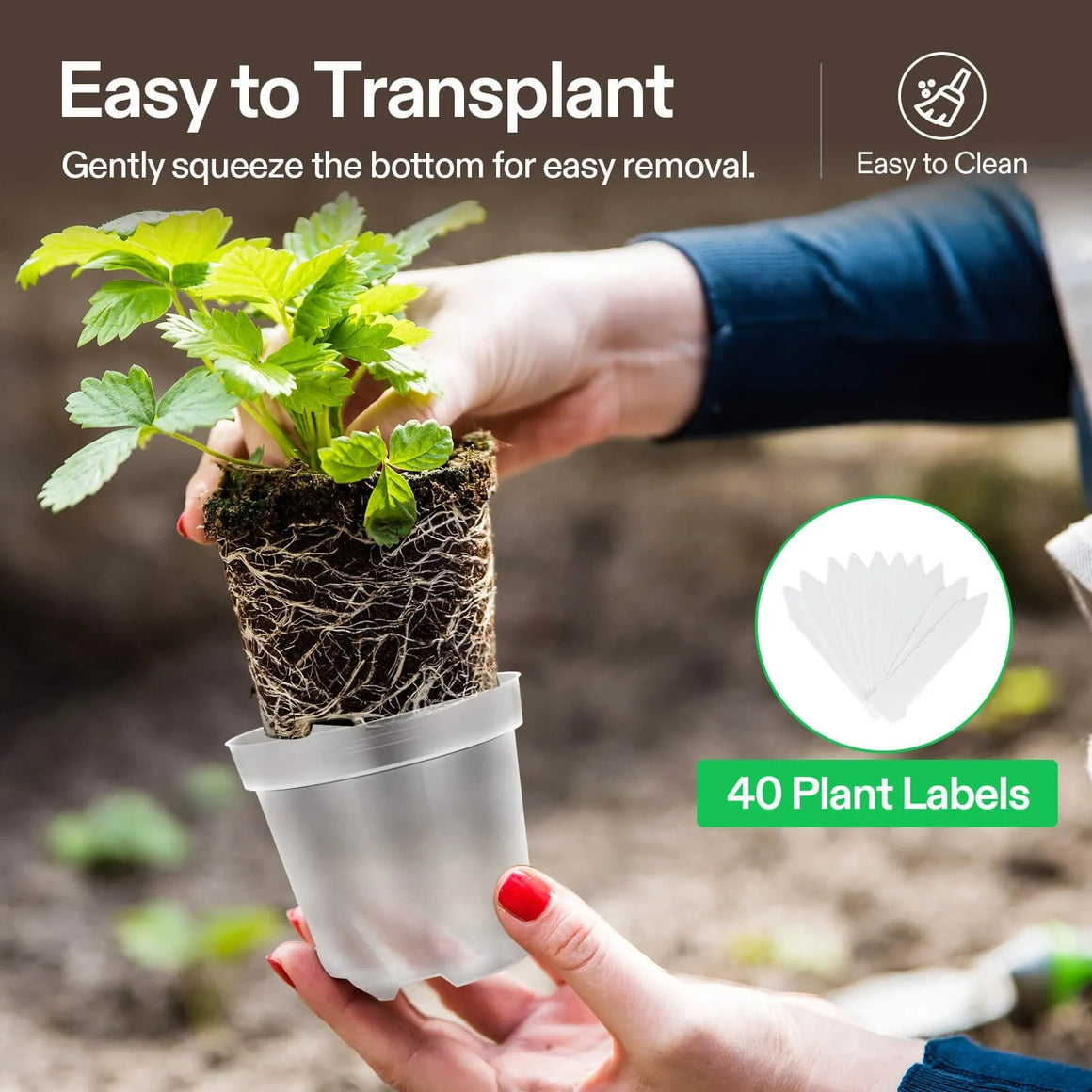 VIVOSUN clear nursery pots for easy transplanting. Features include: easy removal, easy to clean, and 40 plant labels.