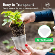 VIVOSUN clear nursery pots for easy transplanting. Features include: easy removal, easy to clean, and 40 plant labels.