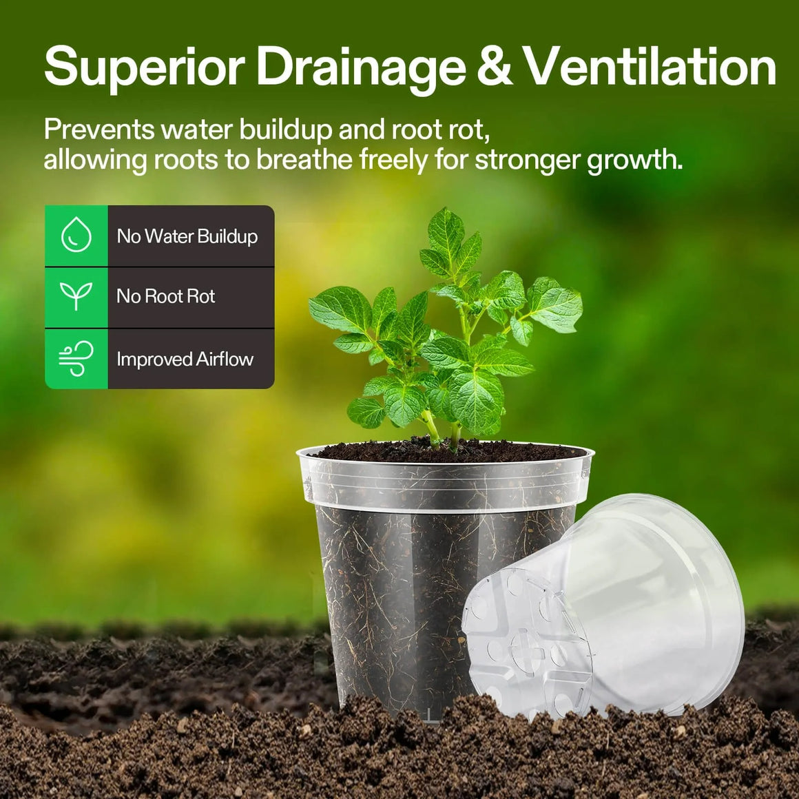 Vivosun clear nursery pots with a plant showing superior drainage & ventilation.