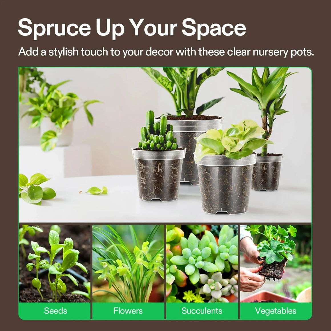 Clear nursery pots with various plants: seedlings, flowers, succulents, and vegetables.