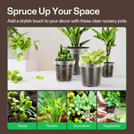 Clear nursery pots with various plants: seedlings, flowers, succulents, and vegetables.
