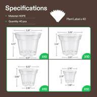 Clear Vivosun nursery pots in 4 sizes, with dimensions and plant labels.