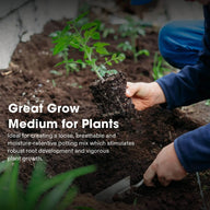Gardener plants a seedling in rich soil with a trowel, promoting robust root growth.