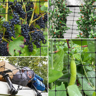 Vivosun elastic trellis netting supports grapes, olives, and peas, plus secures cargo on a vehicle.