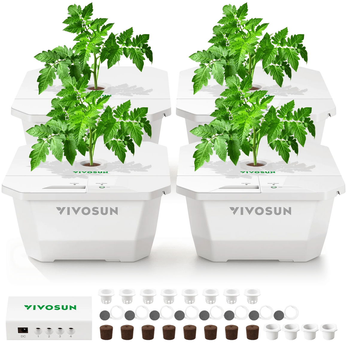 VIVOSUN 4-gallon DWC hydroponic system with four tomato plants, accessories, and control box.
