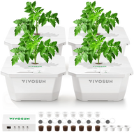 VIVOSUN 4-gallon DWC hydroponic system with four tomato plants, accessories, and control box.